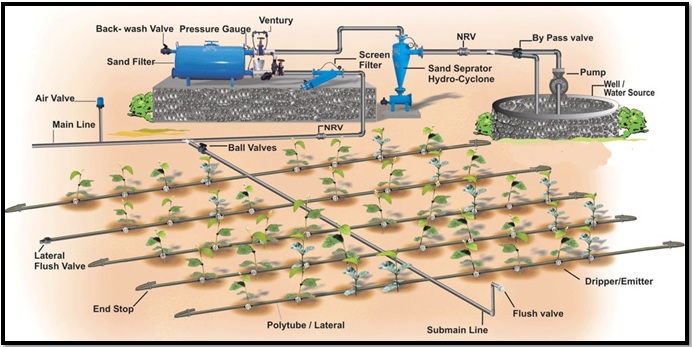 Components of drip irrigation system