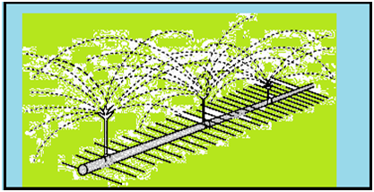 Irrigation System Sprinkler